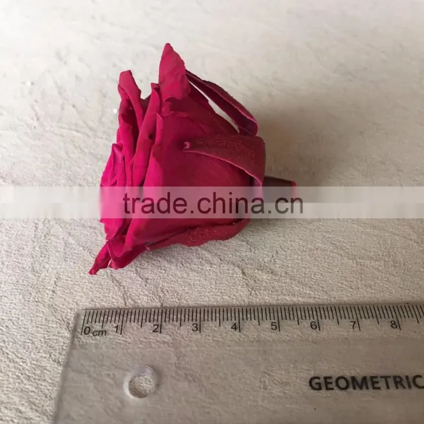 Wholesale Real Natural Preserved Roses Everasting Roses Preserve Flower photo-6