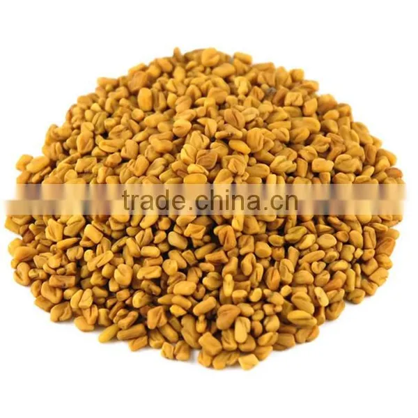 FENUGREEK SEED SMALL GRAIN
