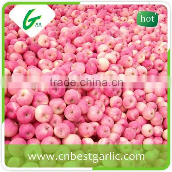 Naturally Sweet Fresh Fuji Apple From China photo-5