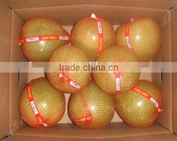 Chinese Fresh Sweet Honey Pomelo for Selling photo-4