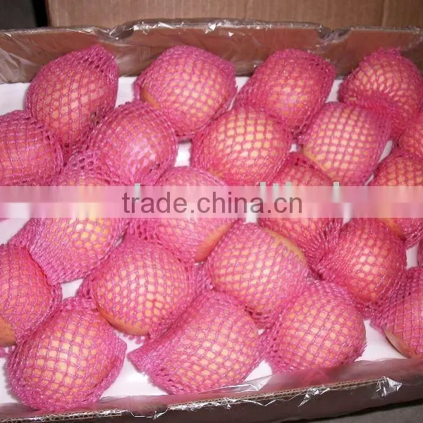 Red Fuji Apple