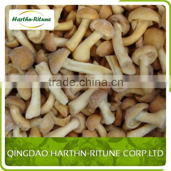 Bulk Frozen Nameko Mushroom Nameko