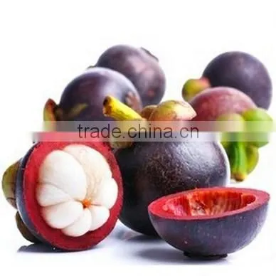Kosher Certified HPLC 10%-98% Mangosteen Extract Mangostin 40% HPLC photo-4