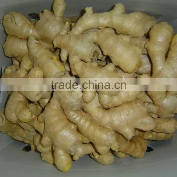 Good Quality Chinese Organic Ginger photo-5