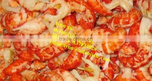 Cooked Lobster Processing Assembly Line/automatic Lobster Cooking Production Line photo-6