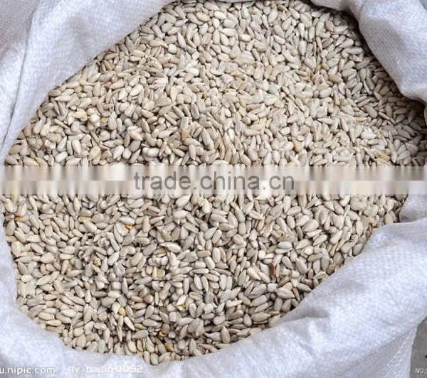 High Quality Sunflower Kernels NEW CROP photo-4