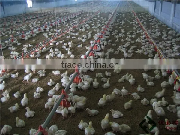 Poultry Feed Manufacturing Equipment for Broilers photo-2