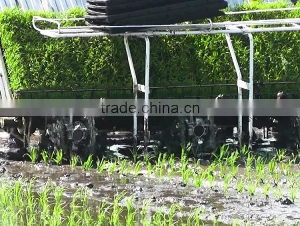 2016 Good Quality High Speed Rice Planting Machine photo-4