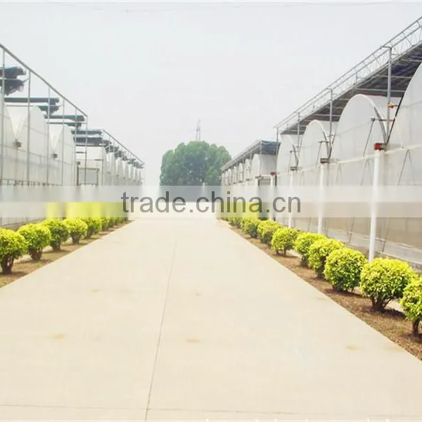 150micron Plastic Film Greenhouse for Agriculture Planting Vegetale photo-4