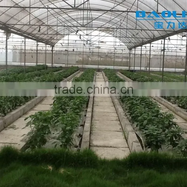 Large Agriculture Equipment Greenhouse Kits photo-4