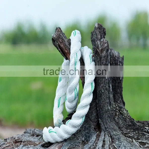 High Quality Combination Single Rope photo-2