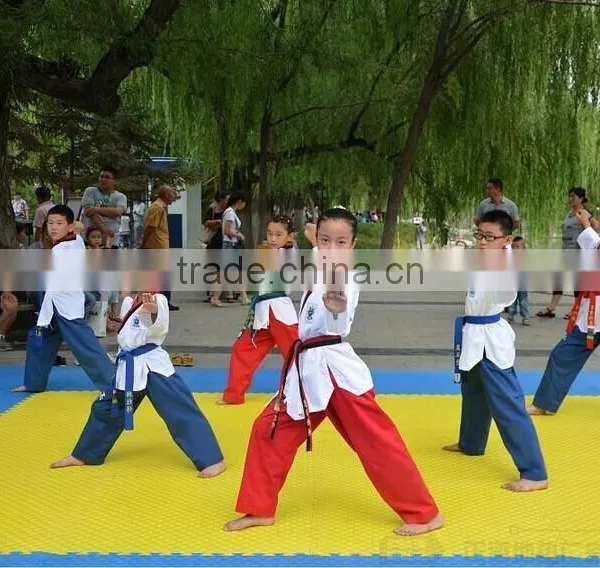 EVA Taekwondo Mat/ MMA Mat/colorful Tatami Mats photo-2