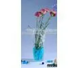 Clear Glass Vase