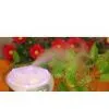 Ultrasonic Aromatherapy Essential Oil Atomizer