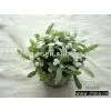 Artificial Flower Arrangements