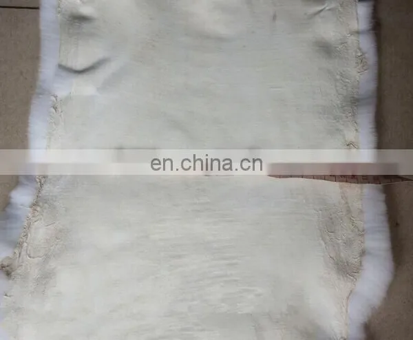 2017 Chinese Rex Rabbit Fur Skins / Rex Rabbit Skin photo-3