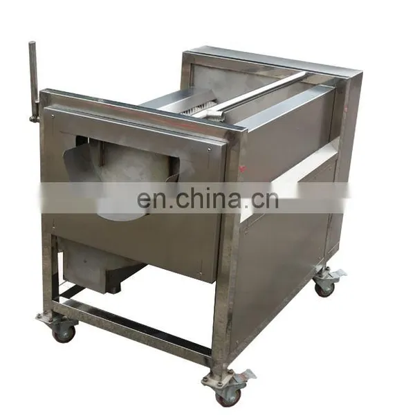 Small Type Brush Washing Machine Fruit and Vegetable Sweet Potato Cleaning Machine Potato Peeler Machine photo-7