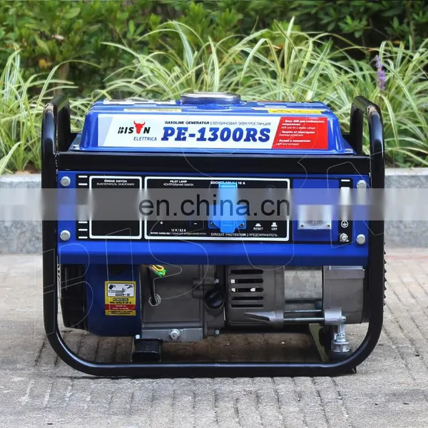 BISON(CHINA) Generador Electrico 1000W Generator Silent 1Kw Price photo-2