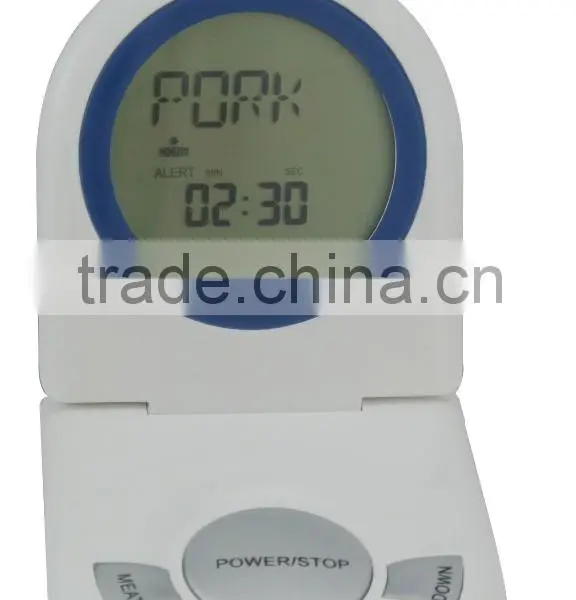 Thermometer photo-2