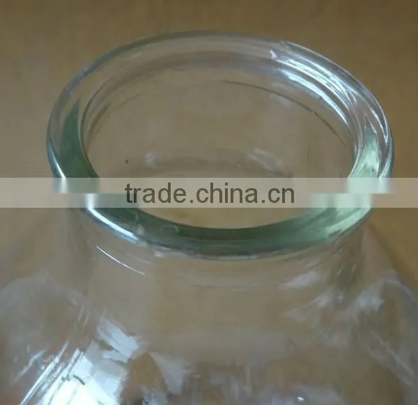 624ml Tissue Culture Vessels Jar photo-2