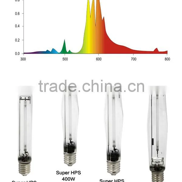 600 Watt Super HPS Bulb photo-2
