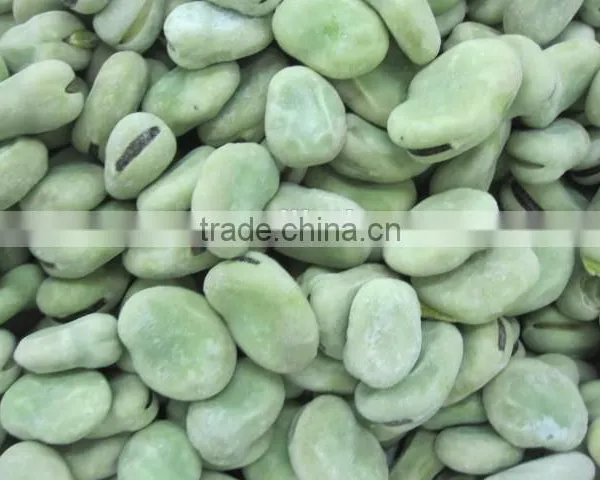 Frozen Broad Bean photo-3