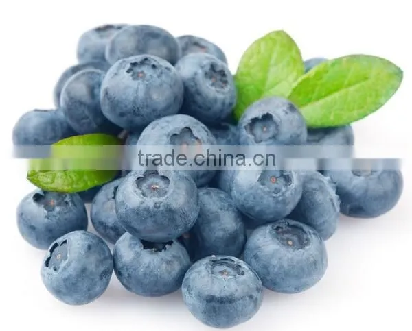 blueberry sorting machine /strawberry sorting machine
