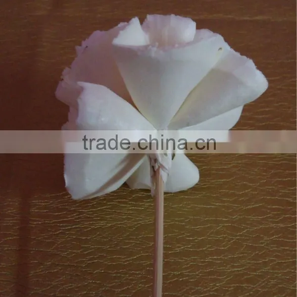 Sola Reed Stick Flower Diffuser photo-2