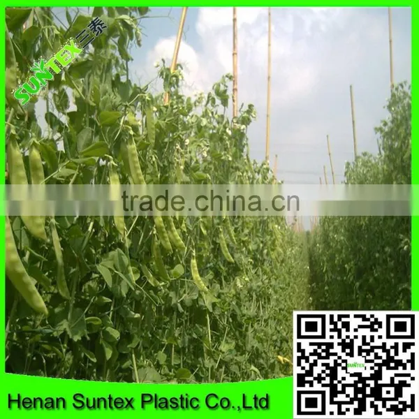 Support Peas Runner Beans & Sweet Peas Climbing Plant Support Mesh Net photo-4