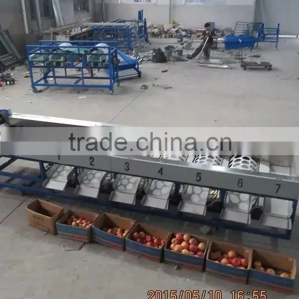 Weight Sorting Grading Machine Line photo-6