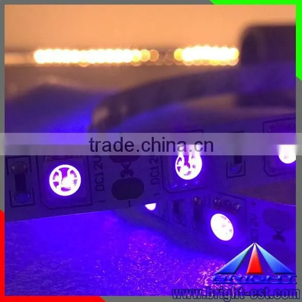 Double Quality Pcb White 5m/roll UV LED Strip Light,high Brightness 3528 Led Strip Lighht photo-3