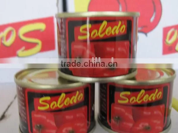 Litho Tomato Paste in Can/tin photo-2
