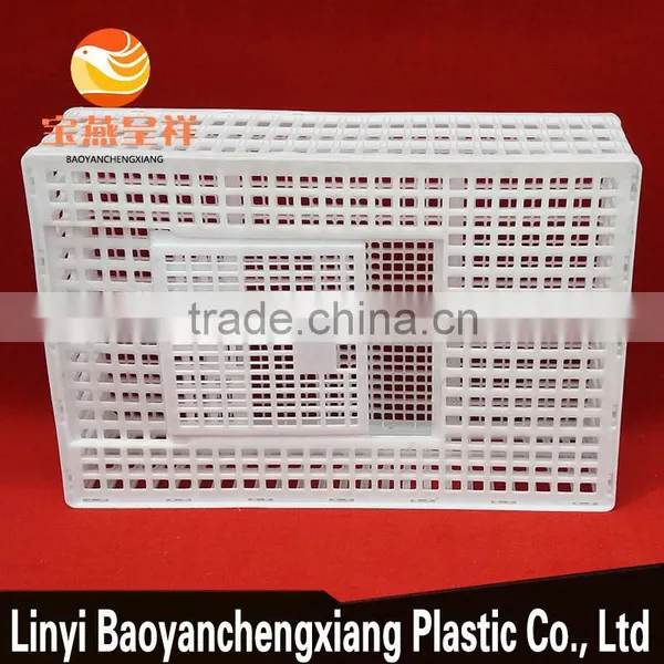 New Product Plastic Sales Small Chicken Coop Professional Designs photo-3