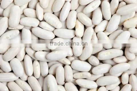 WHITE KIDNEY BEANS