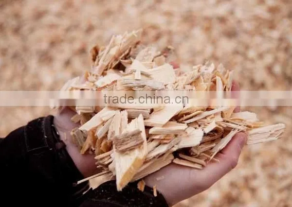 New Type Electric Sawdust Wood Chipper Price photo-5