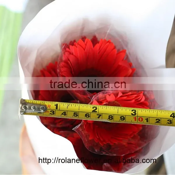 Superb High Quality Dubai Fresh Flower Red Color Gerbera With High Quality photo-3