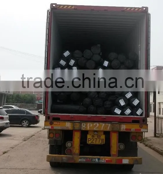 GEO-CYBDXY-bettygaoyinglei photo-6