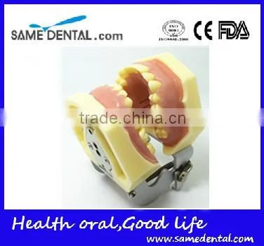 Dental Eduction Assitant No. DEA-06 photo-2