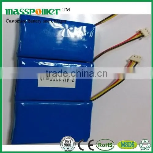 Top Quality Flat Cell Lithium Ion Battery