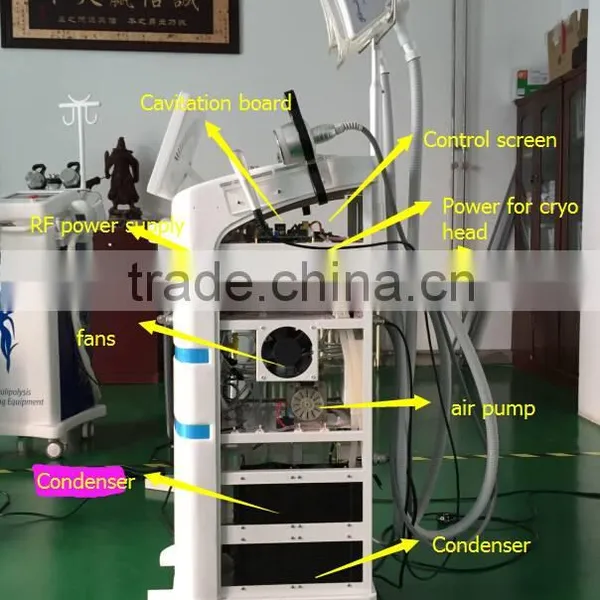 Cellulite Reduction Best Sell Product Cryolipolysis Fat Freeze Loss Loss Weight Weight Slimming Belts Machine For Slim Freezer Weight Loss photo-4