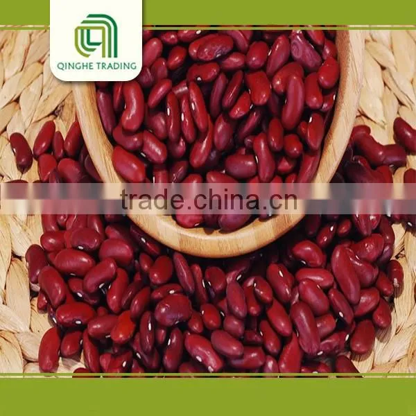 Canned Red Kidney Beans in Brine Pulse photo-2