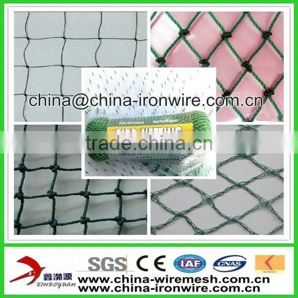 Bird Net