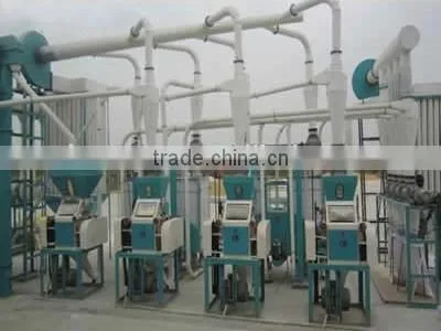 Small to Large Scale Total Solution for Wheat Flour Wheat Production Line photo-3