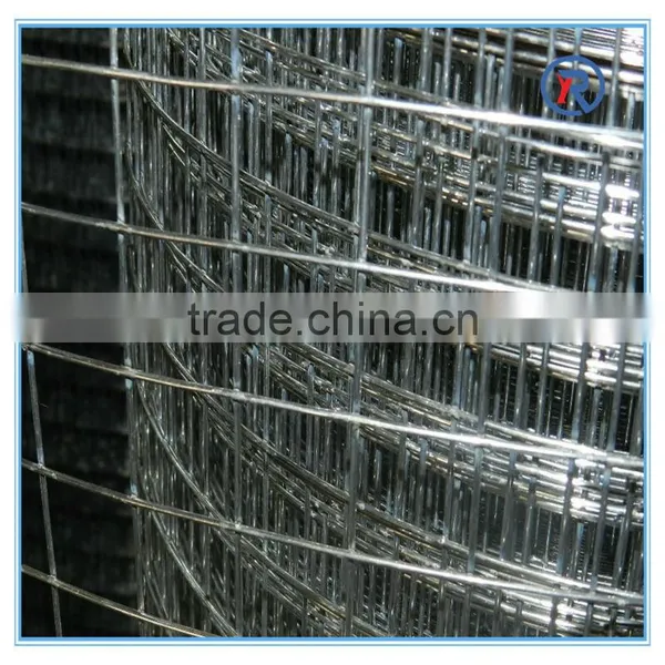 2015 Hot Sale Galvanized Welded Wire Mesh Roll/welding Fencing Wire Mesh photo-2