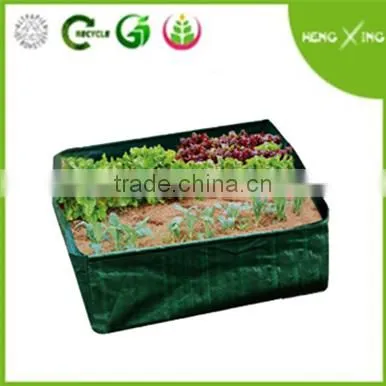 PE Planting Bag