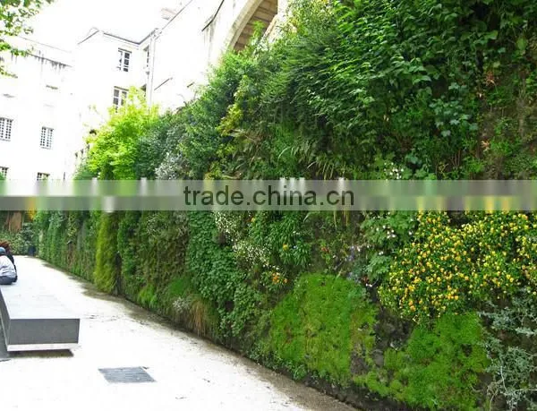 Artificial Eco-friendly Green Wall Fake Grass Wall for Home Decor photo-4