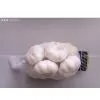 Garlic Export Factory