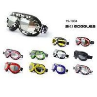 Ski Goggles