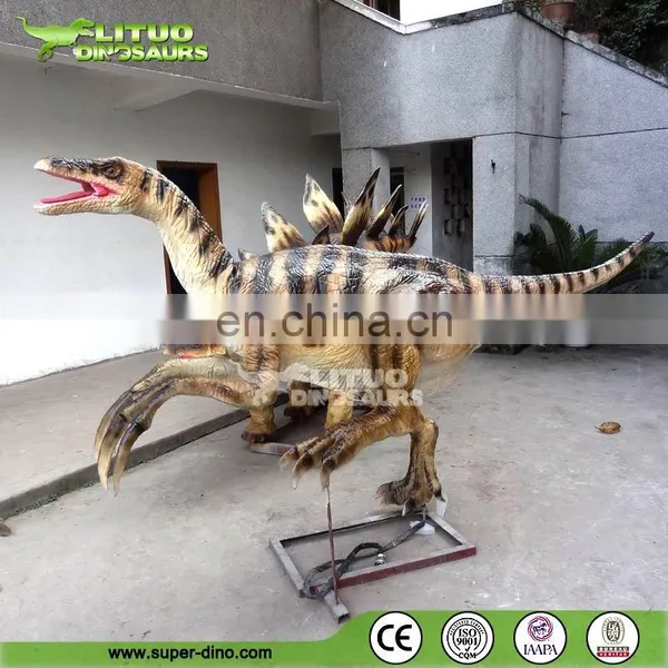 Lifelike Animatronic Velociraptor for Sale photo-5