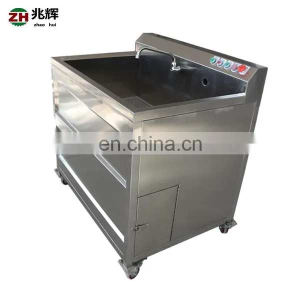 Commercial Small Blueberry Strawberry Fruit and Vegetable Washer Machine photo-3